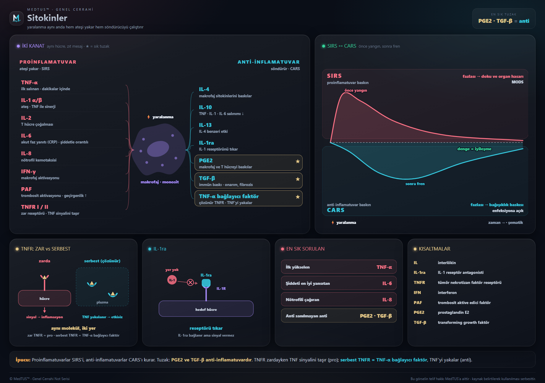 Travmaya immün yanıt — DAMP ve PRR, sitokinler, interferonlar, eikozanoidler